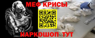 крисы Славгород