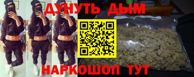 крисы Славгород