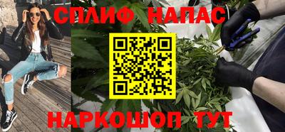 крисы Славгород