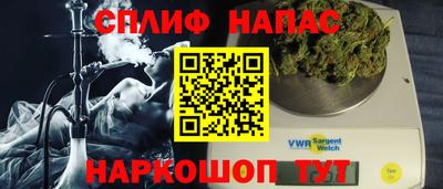 крисы Славгород