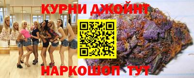 крисы Славгород