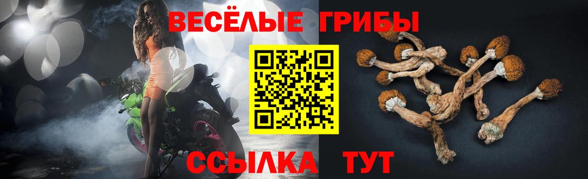 Галлюциногенные грибы GOLDEN TEACHER Сертолово